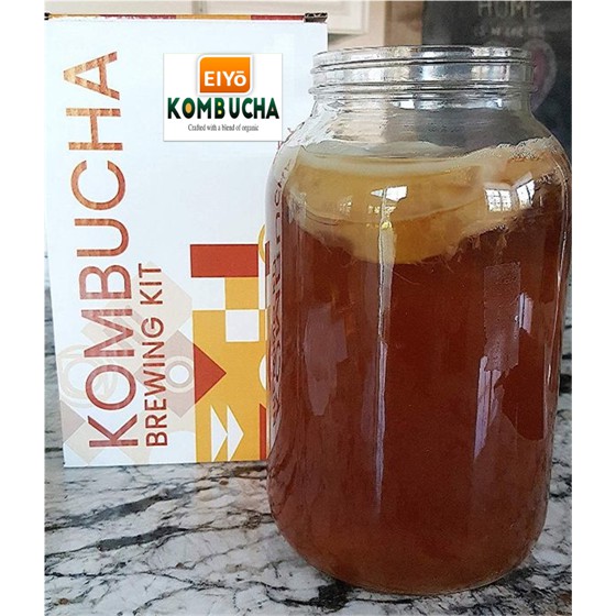 COMBO [ Bộ Dụng Cụ ] Nguyên Liệu HỮU CƠ Làm trà KOMBUCHA - Với con giống SCOBY Organic Stay TAM ĐẢO.