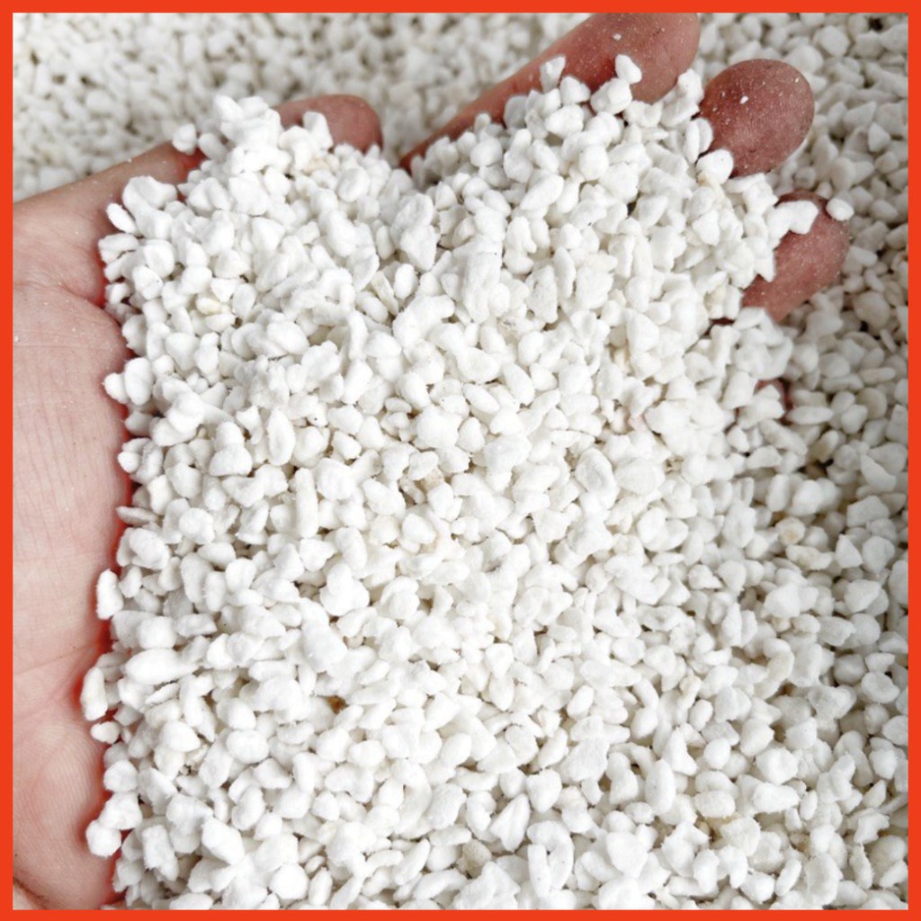 Đá perlite (100g) - Đá trồng Sen Đá chuyên dụng