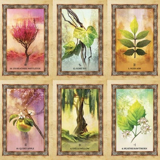 Bộ bài Celtic Tree Oracle C2