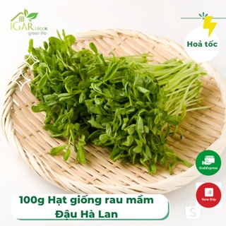[ Hoả tốc] Gói 100g Hạt Giống Rau Mầm Đậu Hà Lan sinh trưởng khỏe phát triển mạnh mẽ tỉ lệ nảy mầm cao