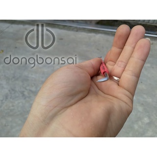 Dao móc lũa Ryuga JN-01