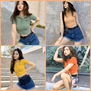 Áo croptop thun cổ bẻ