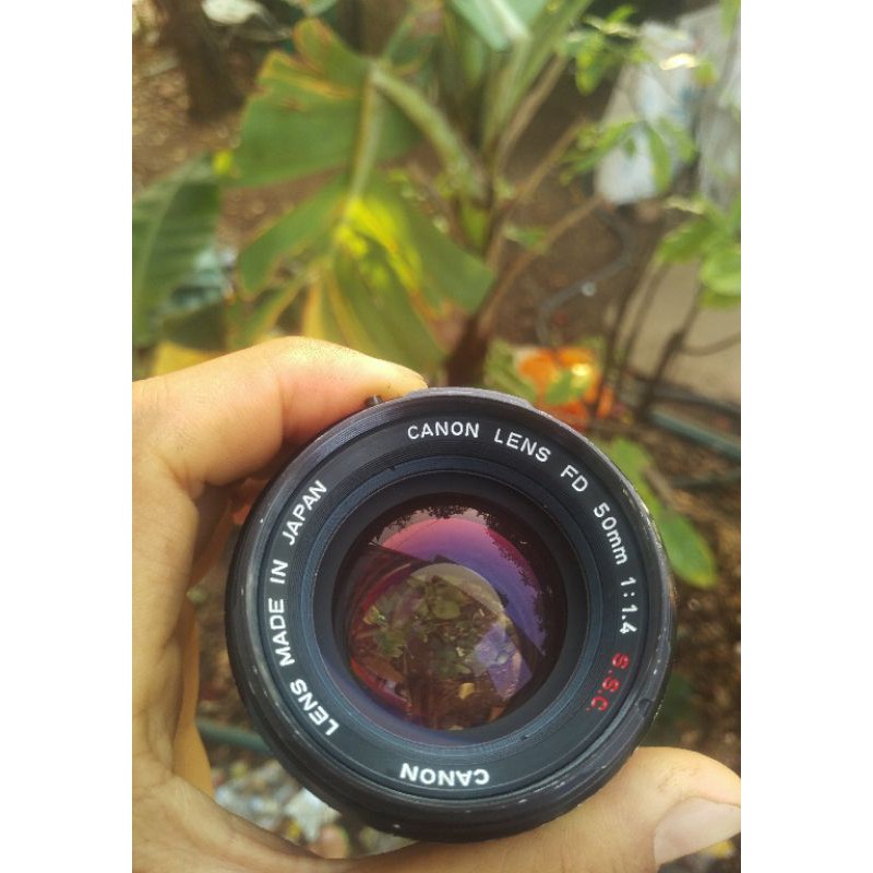 Lens MF Canon 50mm F1.4 chụp chân dung