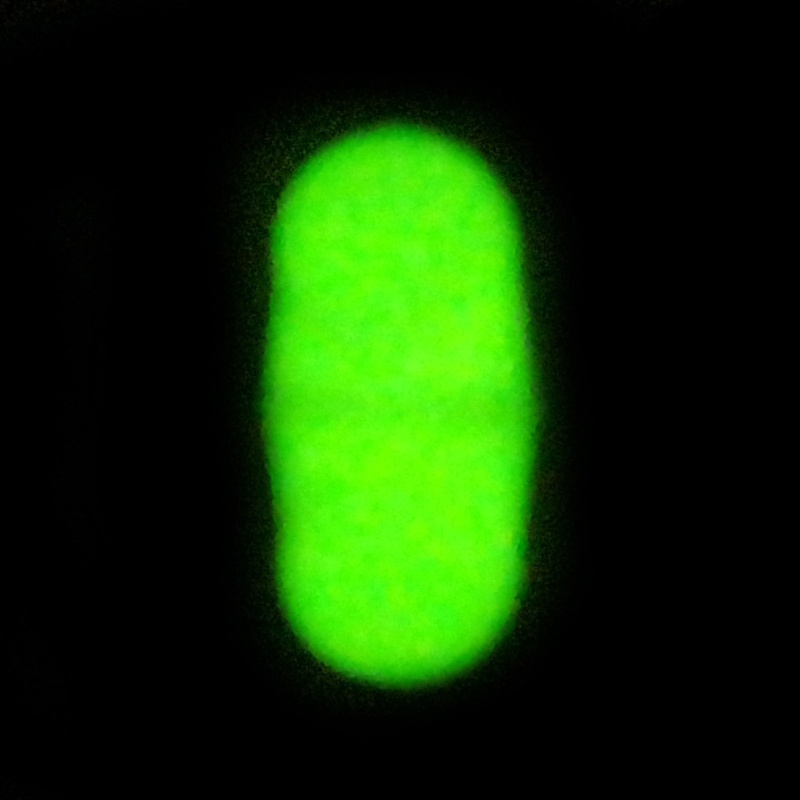 Bộ 10 Chuông Đôi Chuyên Dụng Cho Câu Cá Tiện Lợi