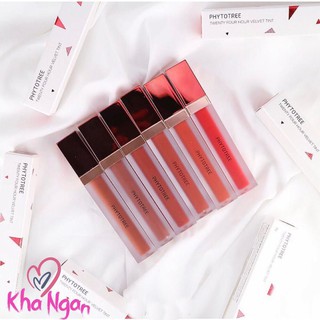 Son Kem Lì Phytotree Twenty Four Hour Velvet Tint 6g