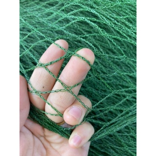 20 Mét Lưới giàn leo, lưới rào gà, lưới trồng cây khổ rộng 2 mét