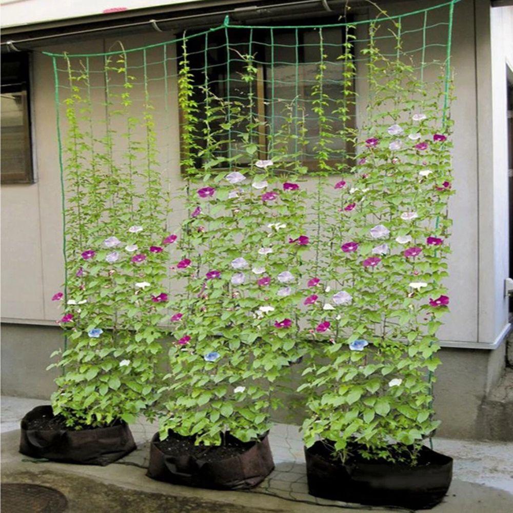 FAY Lưới Trồng Cây Dây Leo Chất Lượng Cao