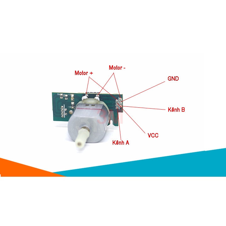 Động Cơ Encoder 334 Xung-Không Giảm Tốc