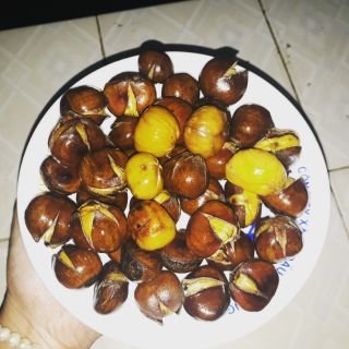 Hạt dẻ cao nguyên đá. Combo 3.5kg/200k