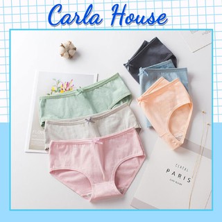 Quần lót carla đúc su cotton basic cạp nơ ql31