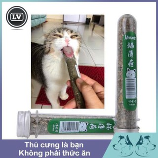 CatNip Cỏ bạc hà cho mèo Phụ kiện Long Vũ