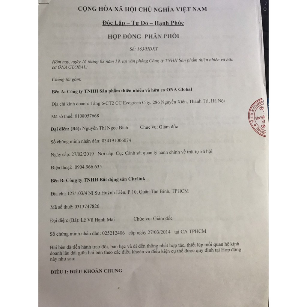 Son GOBO không chì COCAYHOALA #sonthiennhien #an_toàn #lành_tính | BigBuy360 - bigbuy360.vn