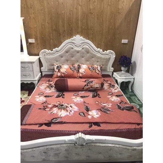 Chăn ga gối đệm 5 món đủ kích cỡ 1.6m 1m8 và 2m-2m2 đủ màu sắc và kích cỡ