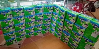 Đèn xông tinh dầu đuổi muỗi