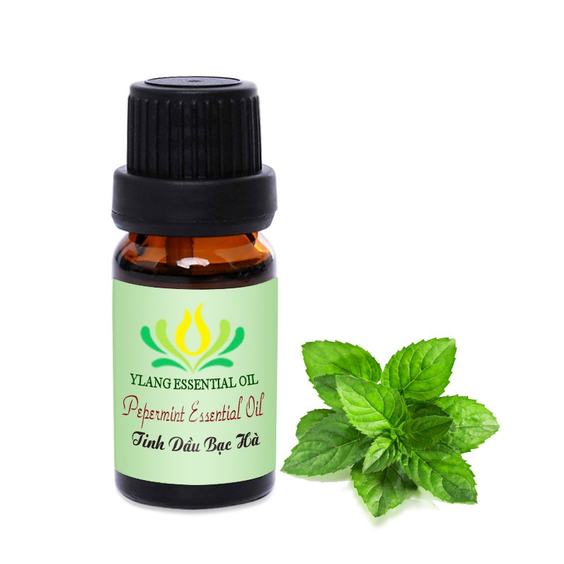 Tinh dầu Bạc Hà (Peppermint) - 10ml