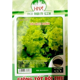 Hạt giống xà lách xoăn, xà lách đỏ 4-5g