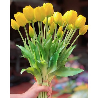 BÓ 5 CÀNH HOA TULIP CAO CẤP