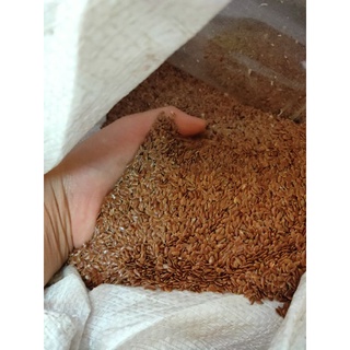 500gr hạt lanh nâu canada