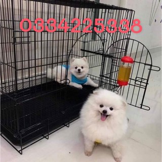 Chuồng chó mèo sơn tĩnh điện, Lồng Chó Mèo size lồng 90 60 65 cứng cáp