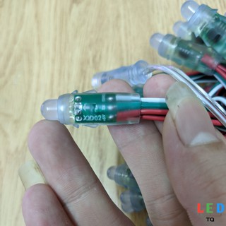 Led full ic 1903 (Chính hãng )