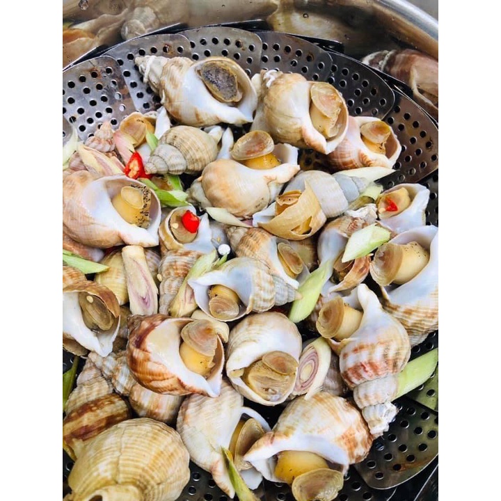 ỐC BULOT PHÁP - Ngon hơn ốc hương