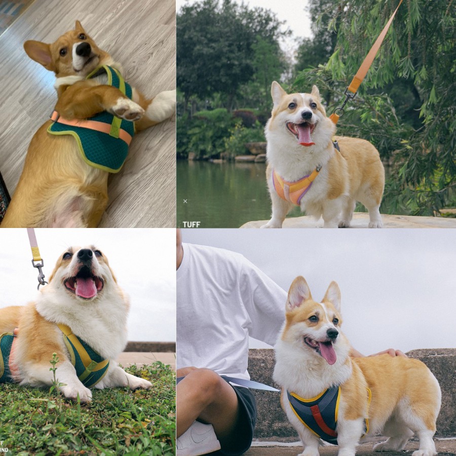 Tuff Hound Set xích Yếm vest và dây dắt cho cún/ Thú cưng