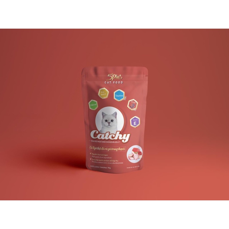 Pate Catchy 5 plus dành cho mèo, thức ăn dạng ướt cho mèo nhiều vị 70g