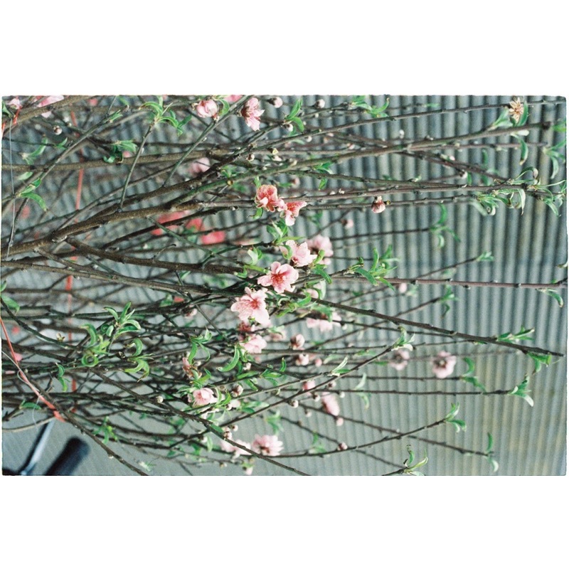 Cuộn film điện ảnh Vision3/500T mới nhất