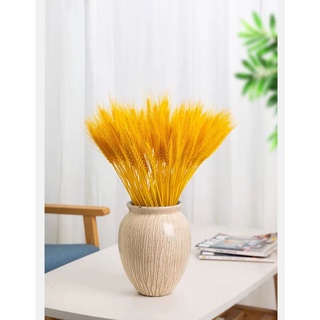 Bó lúa mạch khô 100 nhánh,bó hoa lúa mạch cắm bình trang trí decor siêu đẹp NTXSS101