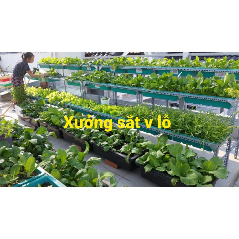 Khung kệ sắt trồng rau sạch 2 tầng dùng cho 10 khay trồng rau kích thước khay 67x42cm