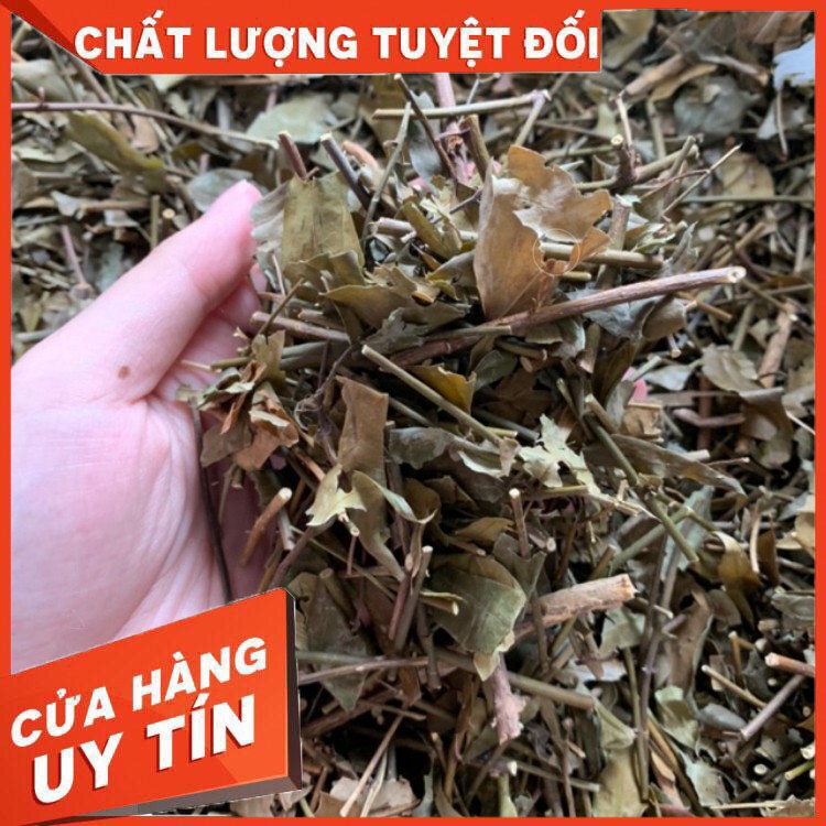 [Hàng Cao Cấp] Chè Vằng Sẻ Quảng Trị 1kg chè vằng thơm, thanh nhiệt giải độc - Dược Liệu Quý Món Quà Thiên Nhiên