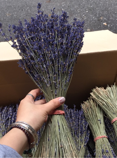 Bó hoa khô Lavender Pháp thơm ngào ngạt (hoa Oải hương) trên 200 cành to mập nhiều nụ