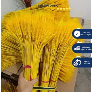 Bông hoa lúa mạch khô 100 bông 1 bó