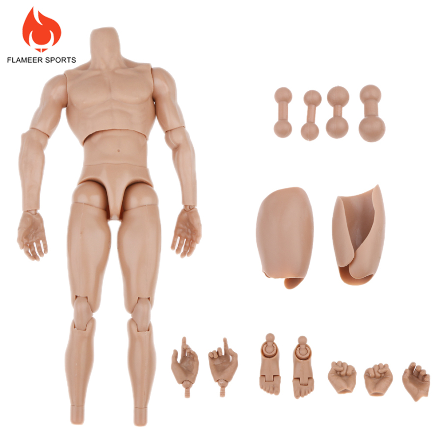 Mô Hình Cơ Thể Nam Tỉ Lệ 1: 6