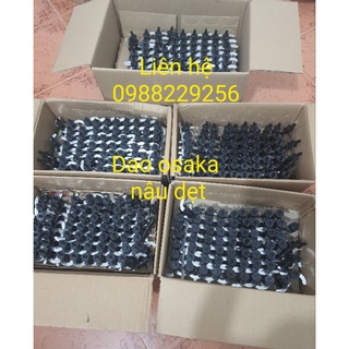 Phụ kiện Lưỡi dao máy xay osaka nắp nâu dẹt