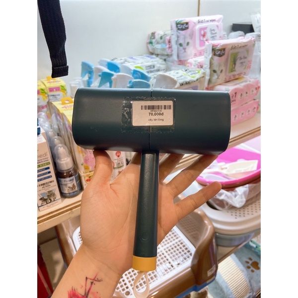 cây lăn lông chó mèo sang chảnh