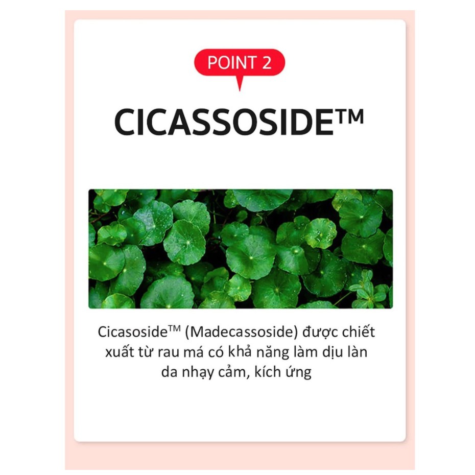 Nước Hoa Hồng Chiết Xuất Tràm Trà Đỏ SOME BY MI Cho Da Siêu Nhạy Cảm Red Tea Tree Cicassoside Final Solution Toner 150ml