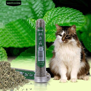 Ống Cỏ bạc hà cho mèo CAT MINT