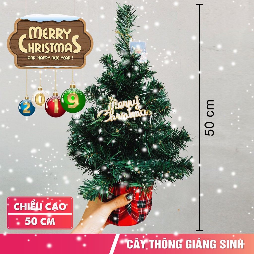 Cây thông mini 50cm cây thông để bàn tặng kèm chữ Merry Christmas