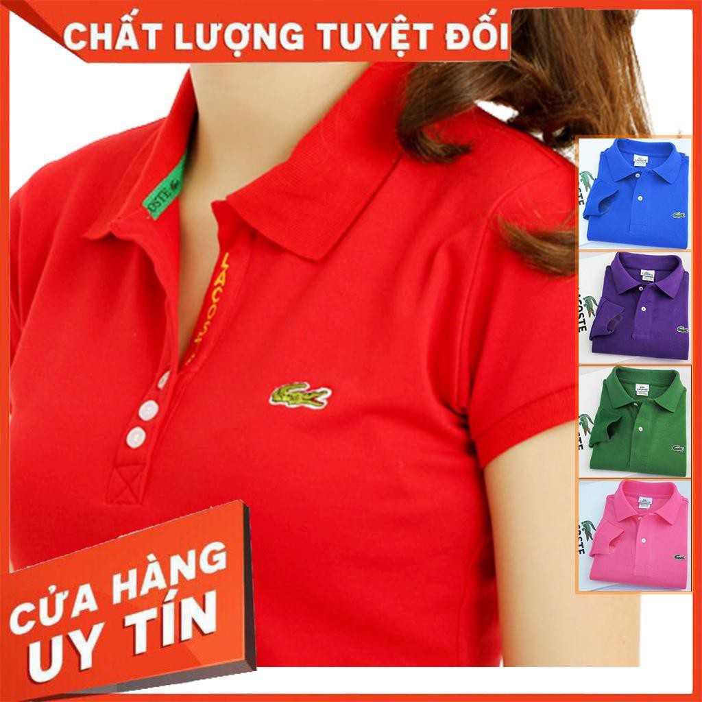 Áo thun polo nữ vải cotton cao cấp thoáng mát chuẩn form có eo