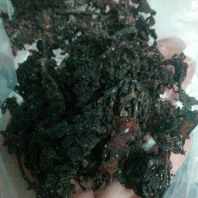 Rong biển nấu nước sâm