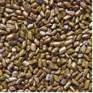 Hạt Muồng đồ chơi xúc cát đồ chơi cho bé