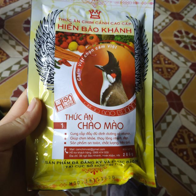 (mua10tăng 1)Cám chào mào hiển bảo khánh 1