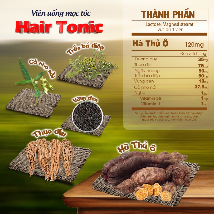 Viên uống kích thích mọc tóc, giảm rụng tóc Hairtonic chống bạc tóc, cải thiện khô tóc hiệu quả, an toàn từ thiên nhiên