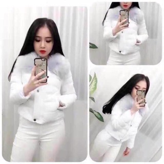 Áo phao cổ lông