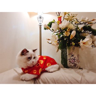 ❤️🧧ÁO DÀI TẾT CHO CHÓ MÈO🧧❤️