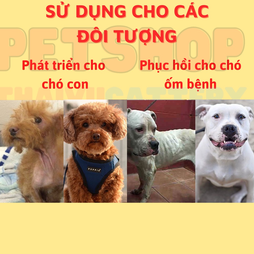 Sữa cho chó PETSURE 400g thức ăn cho chó Dr.Kyan