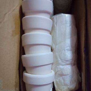 Chậu đất nung 5cm x 5cm trồng sen đá