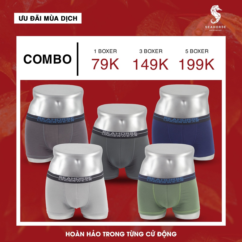 SET COMBO BOXER CAO CẤP SEAHORSE