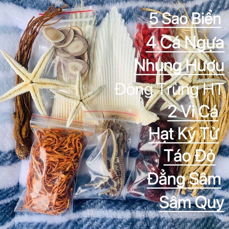 Sét ngâm cá ngựa - nhung hươu - đẳng sâm - kỷ tử -táo đỏ